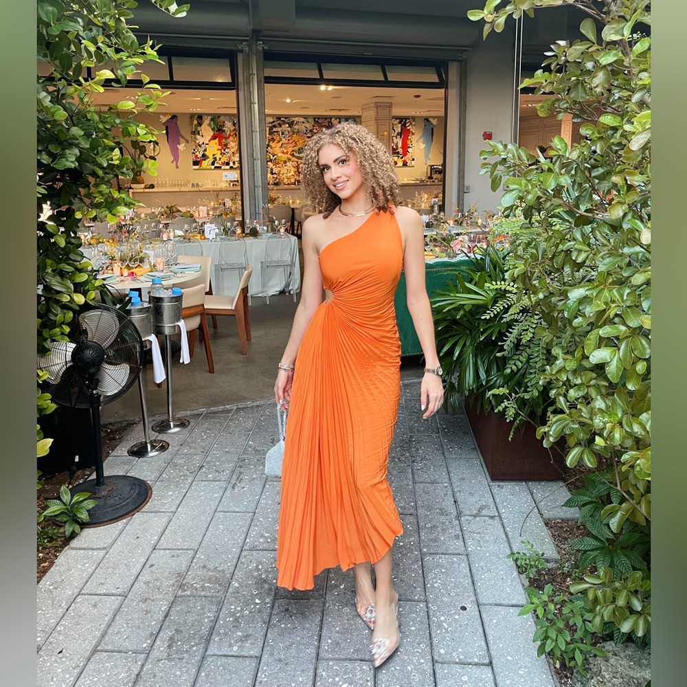 A.L.C Delphina Pleated Dress - Orange
